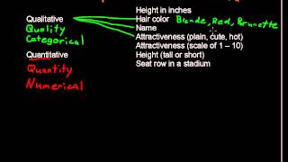 What are Qualitative and Quantitative Variables  Business Statistics Tips [upl. by Adnawyt]