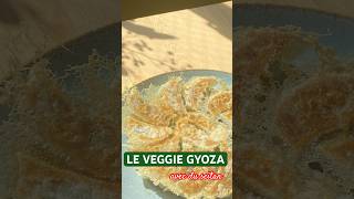 LE VEGGIE GYOZA avec du seitan 🥟  Recette Japonaise Végétale [upl. by Yeltnarb610]