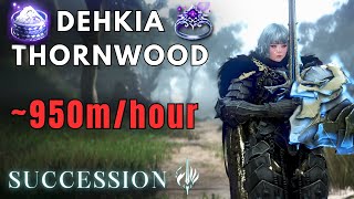 BDO Dehkia Thornwood  306 AP Succession Valkyrie PvE  Lv2 164k Trashhour [upl. by Gowon]