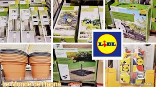 LIDL FRANCE ARRIVAGE 1104 NOUVEAUTÉS 🥰✨️ [upl. by Modnar86]