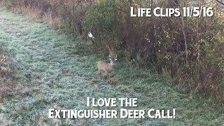 Extinguisher Deer Call Works Heres proof [upl. by Purcell]