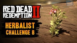 Red Dead Redemption 2 Herbalist Challenge 8 Guide  Use Oleander to craft 6 poison weapons [upl. by Nohsav278]