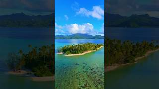 Swimming with sharks in Mo’orea Tahiti tahiti frenchpolynesia sharks islandlife [upl. by Maje385]