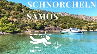 7 SAMOS  GRIECHENLAND  SCHNORCHELTOUR 🐠☀️🌴Samos Schnorcheln auf Samos snorkeling Samos Vlog [upl. by Devon218]