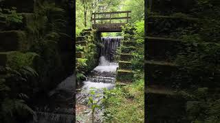 Unterwegs am Kaltenbach bei Annweiler  Wandern im Pfälzer Wald [upl. by Nulubez965]