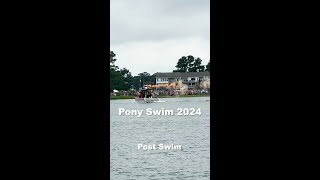 Pony Swim 2024 [upl. by Adnolor]