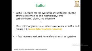 Microbial Nutrition [upl. by Lucey626]