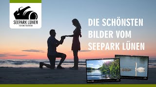 Fotowettbewerb Seepark Lünen  Die schönste Bilder werden gesucht [upl. by Dillon]