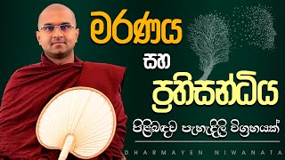 මරණය සහ ප්‍රතිසන්ධිය  Ven Watagoda Maggavihari Thero [upl. by Notle]