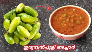 ഇരുമ്പൻപുളി അച്ചാർ  Bilimbi Pickle  Malayalam  Recipe  Eps 11 bilimbipickle SejilasCookworld [upl. by Livingston]