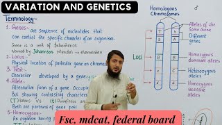 genes alleles and gene pool class 12 [upl. by Nigen288]