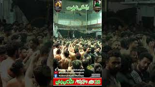 Taboot 28 SAFAR SHAHADAT IMAM HASSAN MUJTAB AS Imamia imam bargah jhelum short taboot [upl. by Amara249]