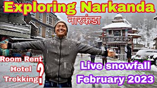 Exploring Narkanda deepali5558  February 2023 Live Snowfall in Narkanda  Legends on Road [upl. by Torrlow414]