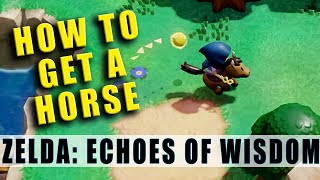 How to get a horse in The Legend of Zelda Echoes of Wisdom Temple Horse location [upl. by Nosnhoj]