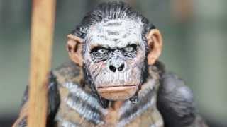 Dawn Of The Planet Of The Apes NECA Koba Movie Action Figure Review [upl. by Byram]