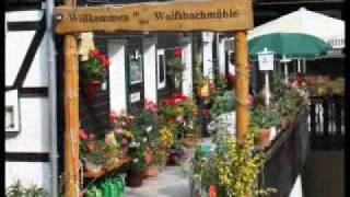 Urlaub im Oberharz im Waldgasthaus Wolfsbachmühle  90 GRAD die Band [upl. by Rehotsirhc358]