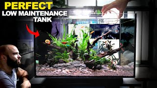 ALL IN ONE Peninsula Kit Aquarium Easy amp Stunning Setup [upl. by Ninos]