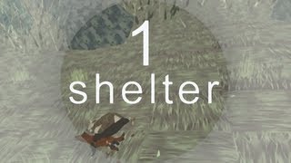 Shelter First Look  Preview Gameplay  Part 1 [upl. by Lissi]