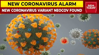 NeoCoV  New Coronavirus Variant Found By China Know Everythig About NeoCoV  Coronavirus Update [upl. by Tecil]