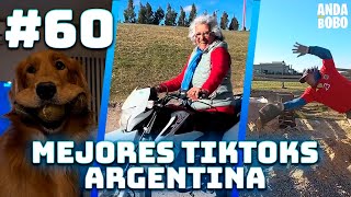 MEJORES TIKTOKS ARGENTINA 60 [upl. by Nolly]