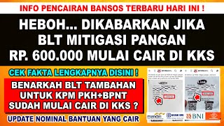 BARU SAJA❗DIKABARKAN BLT TAMBAHAN RP 600000 CAIR DI KKS HARI INI BLT MITIGASI RESIKO PANGAN CAIR [upl. by Redman309]