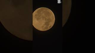 Harvest supermoon with partial eclipse September 2024 [upl. by Lerrehs]