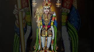 Kanda Sashti endral Enna Murugan sirappu Sasti Villa Kanda Sashti shorts Murugan [upl. by Anisamot]