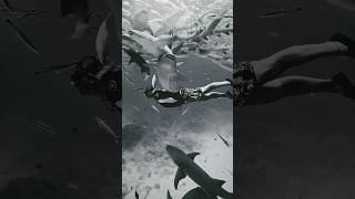 Boyna Galava shorts shark ocean explore maldives freediving sharks [upl. by Manda]