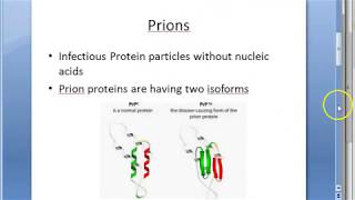 Microbiology 551 b Prion Disease PrPSc Protein Scrapie Sheep Kuru CJD Spongiform encephalopathy [upl. by Oberon]