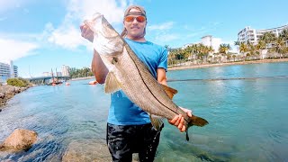 Fishing for MONSTER SNOOK in South Florida [upl. by Charyl451]