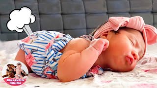 BOOM Do You Hear Babys Farting 🤣🤣 Baby Funniest Fart Moments  Funny Pets Moments [upl. by Moishe]