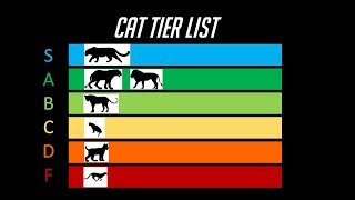 The Cat Tier List [upl. by Llecrad520]