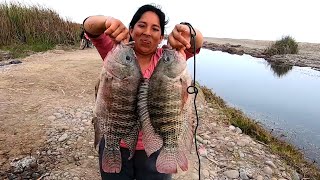 Impresionante como Pesca esta Mujer con Atarraya estos Gigantes Pescados [upl. by Parsons]