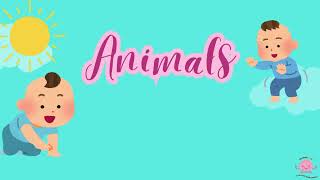 ABC animals Song  Learn Alphabet with Cute Animals  Educational [upl. by Norved]