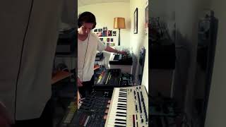 808 electronicmusic dawless analog synthesizer mooggrandmother minilogue roland [upl. by Enitsud]