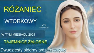 Wtorkowy różaniec 💙 Bolesne tajemnice różańca 💙 12 października 2024 WIRTUALNY RÓŻANIEC [upl. by Emeline400]