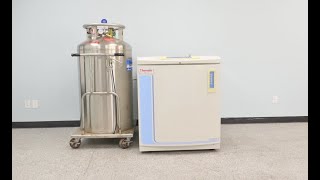 Thermo Cryoplus 3 Cryogenic Storage System Video ID 20619 [upl. by Khichabia]