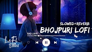 Rash gulaa song lofi Remix Song rash gulaa neelkamal singh song SlowedReverb dj Remix Song [upl. by Briant]