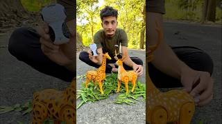 Rc Remote Control Two Giraffe 🦒 vs Deer ki testing 😜 [upl. by Aharon742]