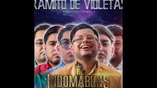 Ramito De Violetas  Indomables JRZ en vivo [upl. by Jeggar]