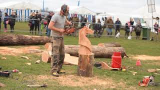 Chainsaw Carving at the Thame Country Show 2018 UK [upl. by Auohc407]