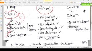 ANDROGEN INSENSITIVITY SYNDROME  CONCEPT [upl. by Devinne]