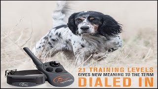 Shock collars for dogs  SportDOG Brand 425X Remote Trainers  500 Yard Range ECollar with Static [upl. by Nova]