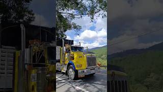 T800 🔥🇨🇴automobile semitrailer car trucking trailer truckytrailers [upl. by Aun]