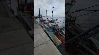 Dredge next to the dock in Crescent City Ca harbor [upl. by Edie583]