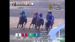 Zenyatta Greatest Race Horse Of All Time Montage  All 19 Wins [upl. by Buchanan196]