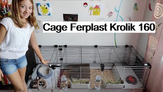 New cage Ferplast Krolik 160 for my guinea pigs Flowy and Aira  from Zoomalia [upl. by Vastha]