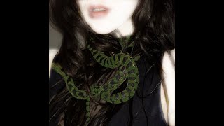 Medusa  Kaia Jette Official Lyric Video [upl. by Lidia]