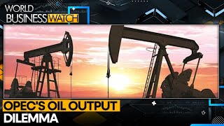 Several OPEC members seek level upgrade to pump more oil in 2025  World Business Watch  WION [upl. by Gamages]