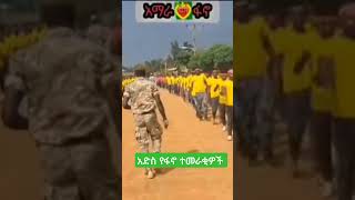 ልብን የሚመስጥ የፋኖ ሙዚቃ [upl. by Noid]